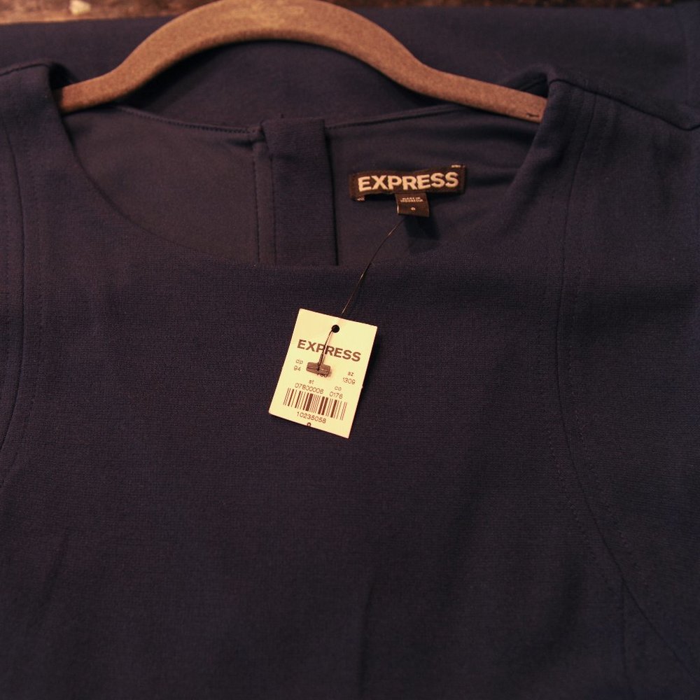 Express Dress - Picture 3 of 3